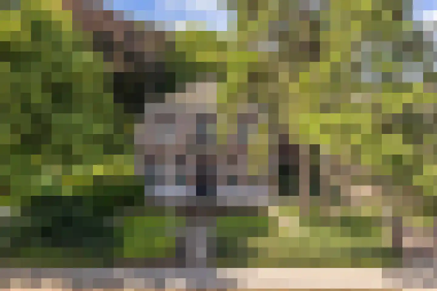 Stationsweg 129 Hillegom thumbnail 6