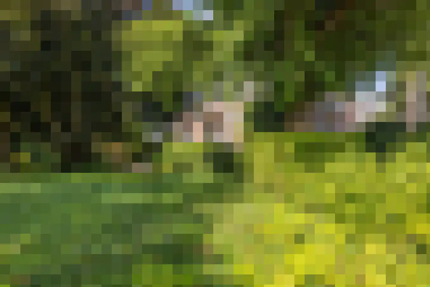 Stationsweg 129 Hillegom thumbnail 61