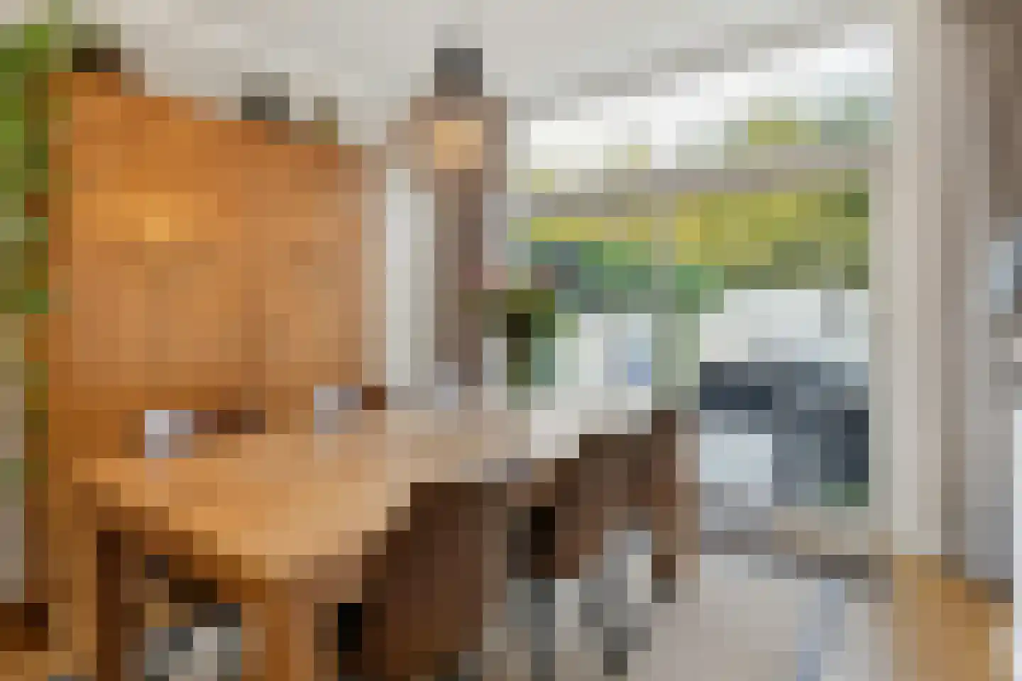 Stationsweg 13 Bodegraven thumbnail 18