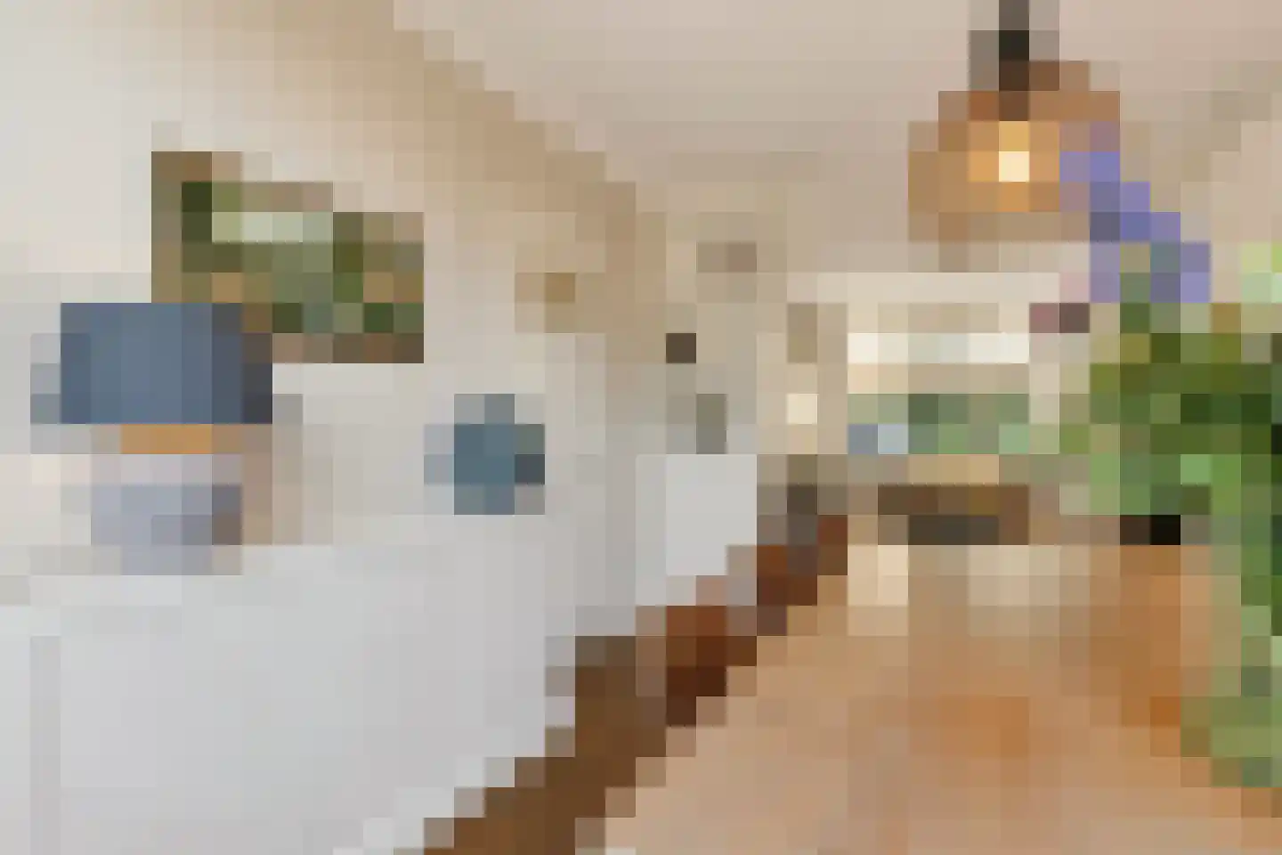 Stationsweg 13 Bodegraven thumbnail 20
