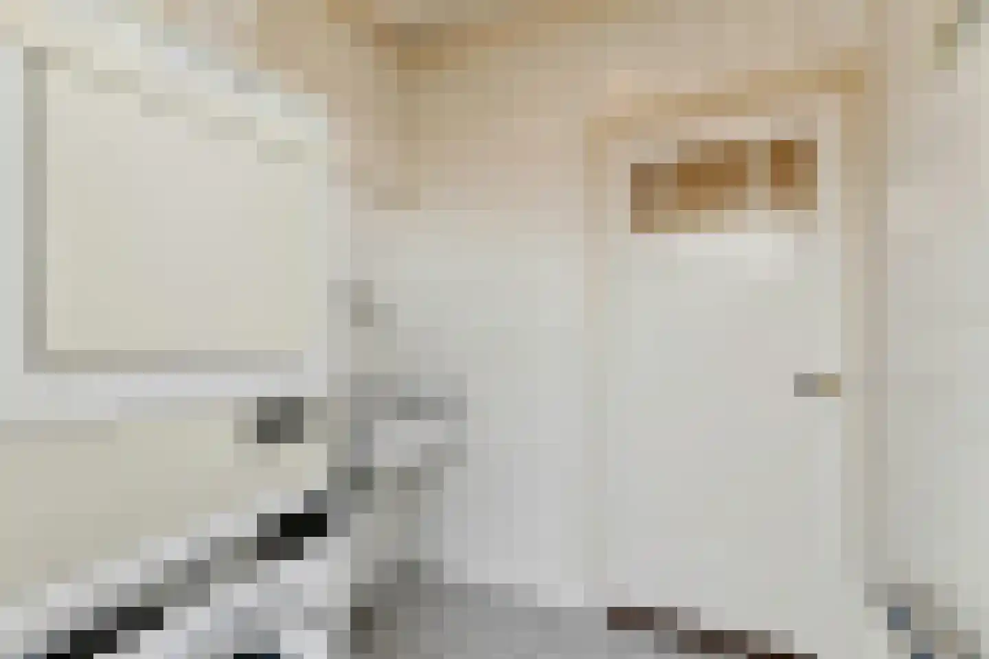 Stationsweg 13 Bodegraven thumbnail 31