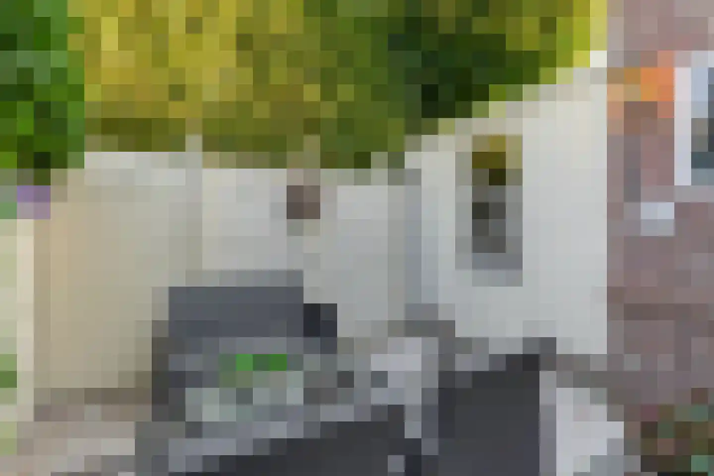 Stationsweg 13 Bodegraven thumbnail 42