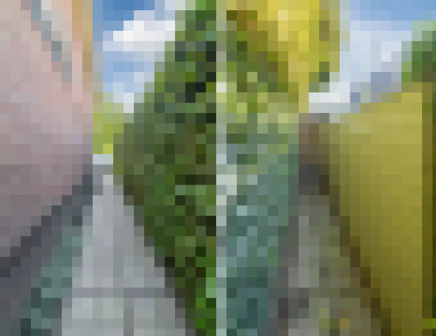 Stationsweg 13 Bodegraven thumbnail 45