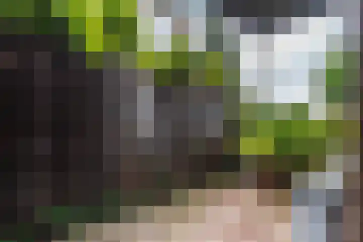 Stationsweg 13 Winschoten thumbnail 39