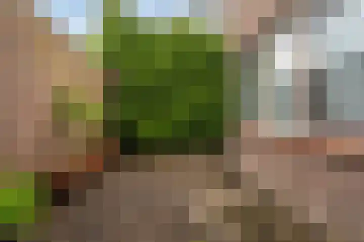 Stationsweg 13 Winschoten thumbnail 40