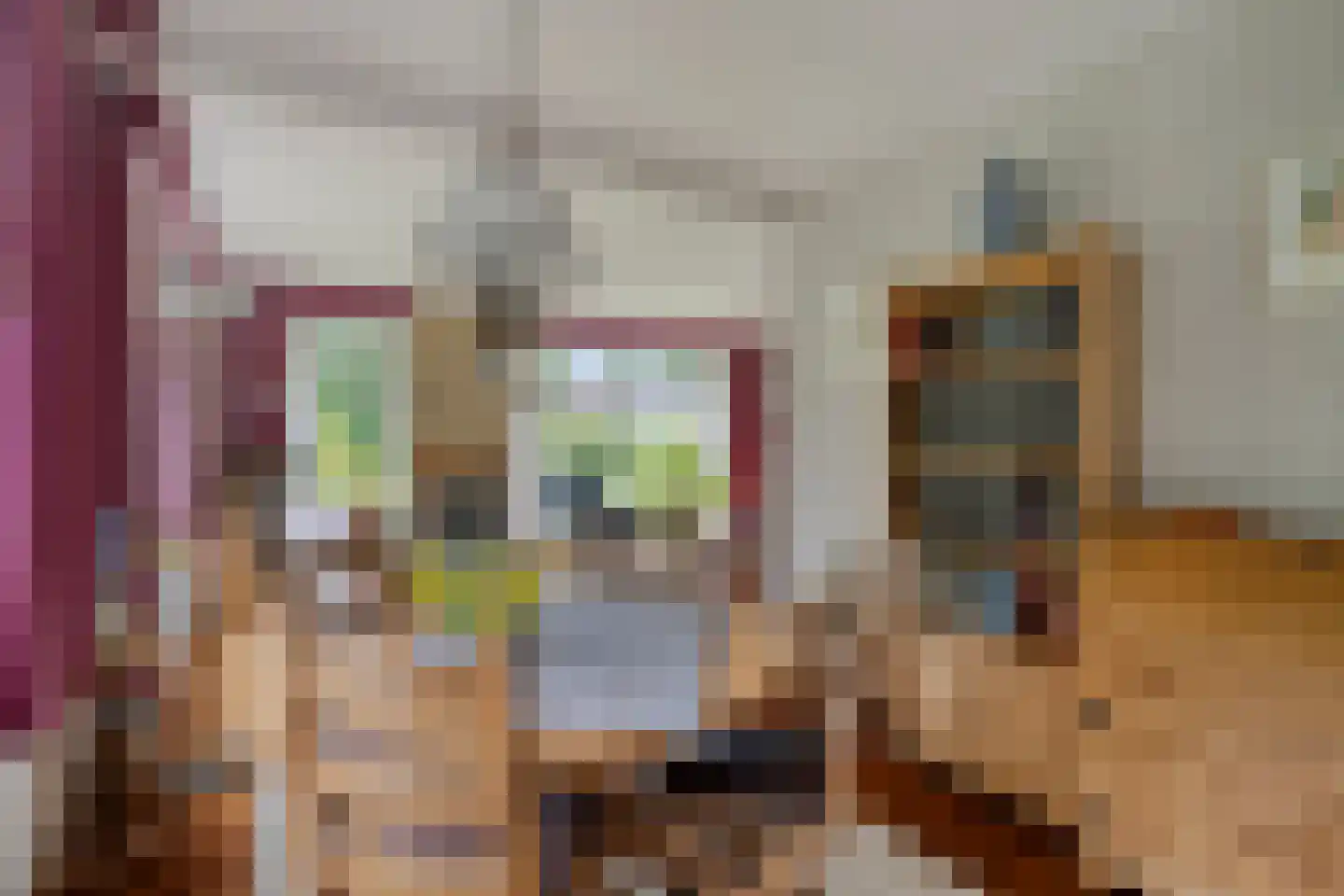 Stationsweg 132 Wezep thumbnail 20
