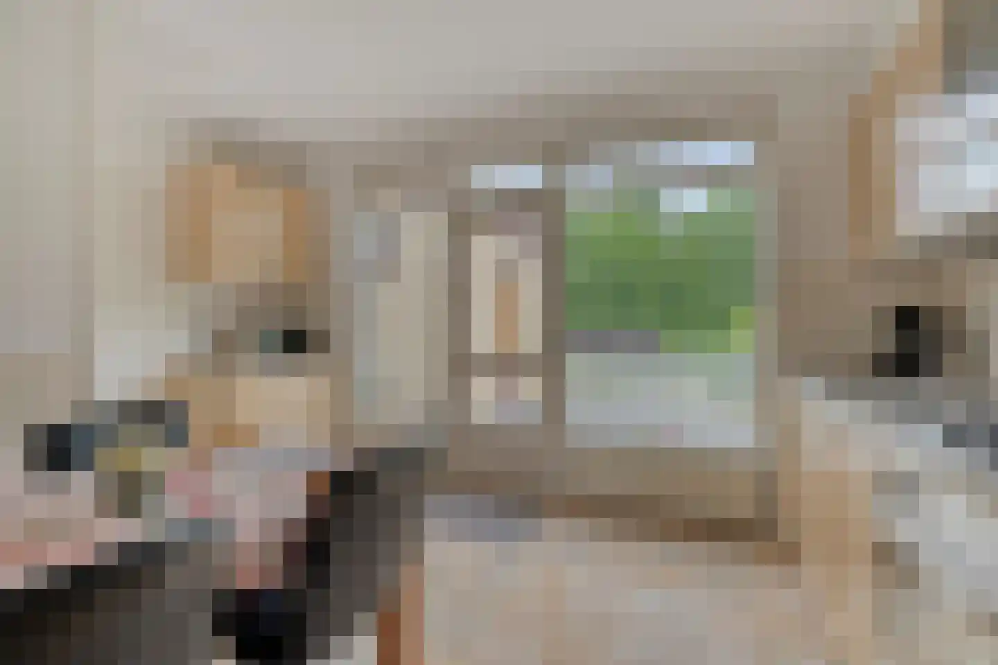 Stationsweg 132 Wezep thumbnail 21