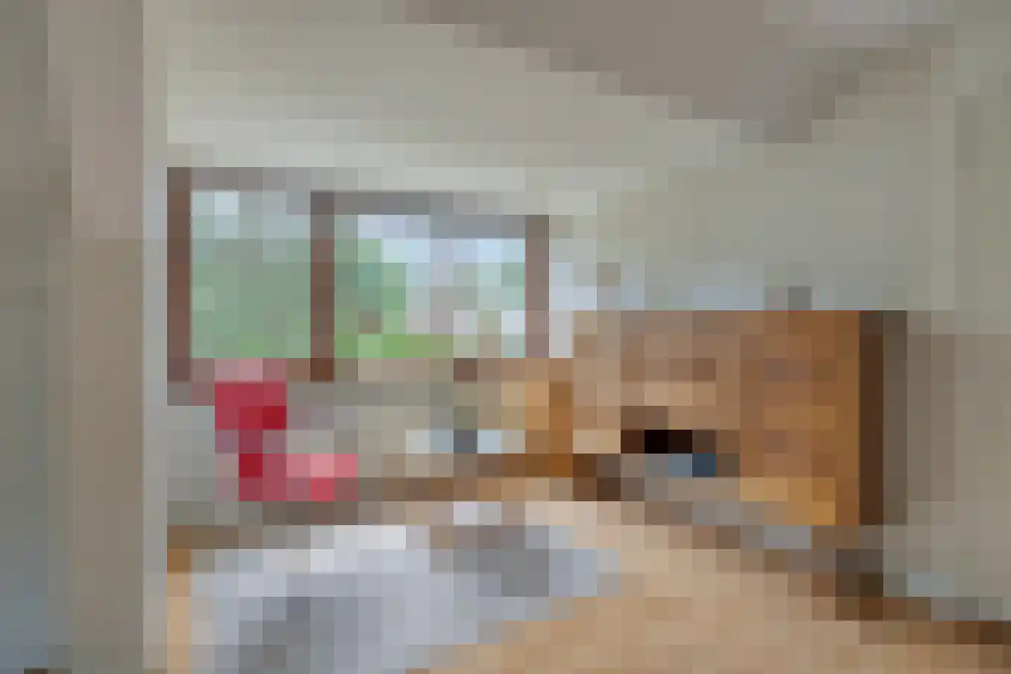 Stationsweg 132 Wezep thumbnail 32
