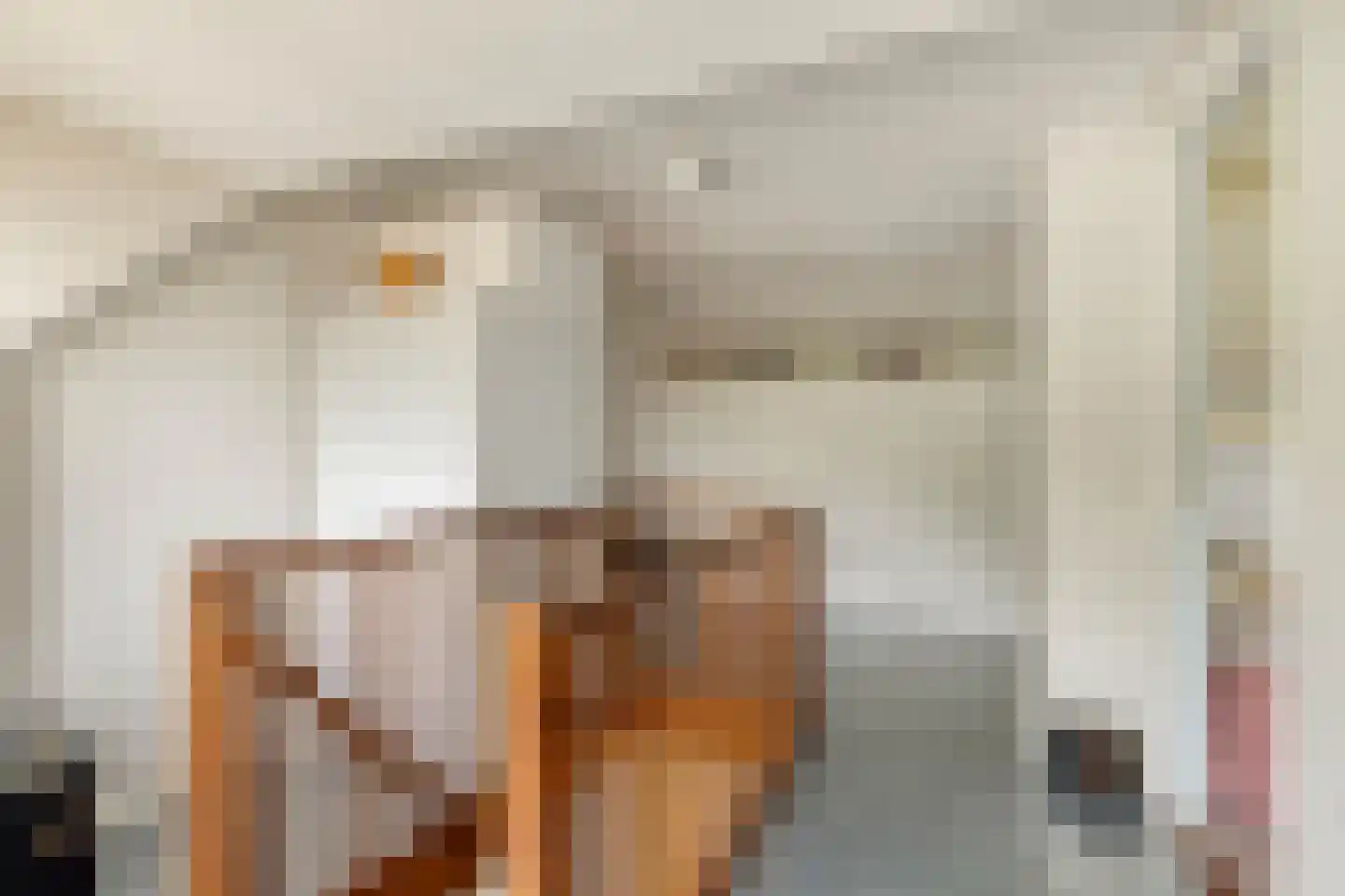Stationsweg 132 Wezep thumbnail 35