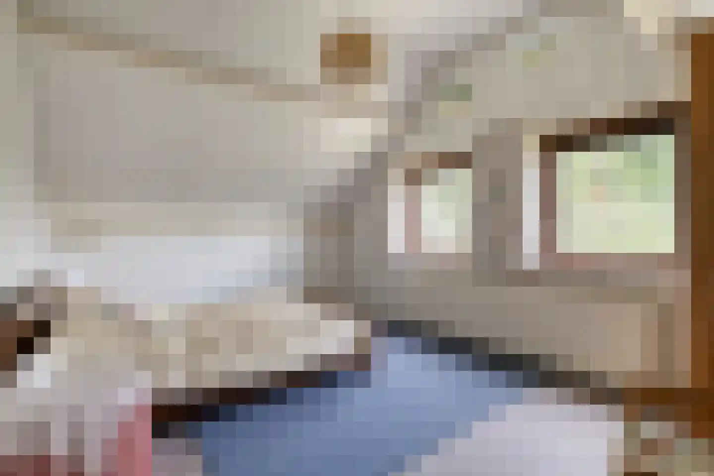 Stationsweg 132 Wezep thumbnail 37