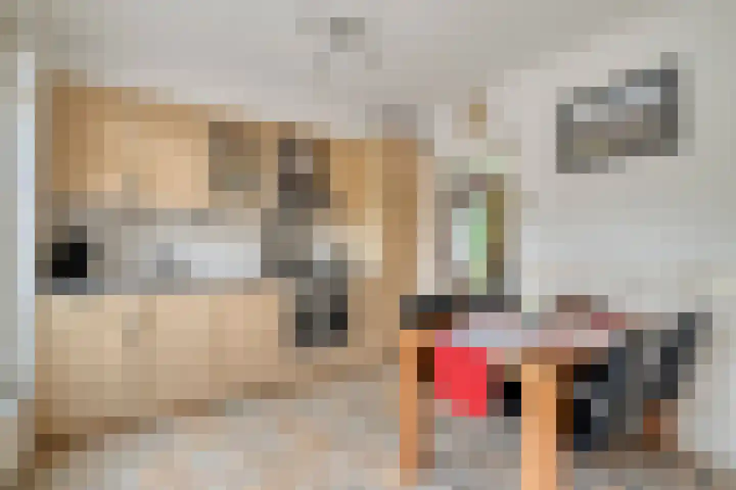 Stationsweg 132 Wezep thumbnail 4