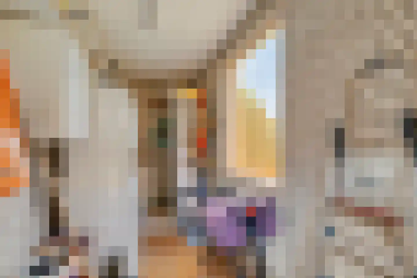 Stationsweg 132 Wezep thumbnail 41