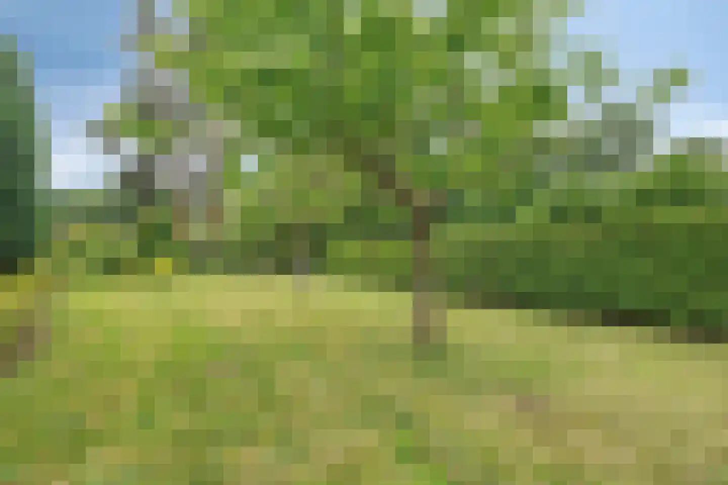 Stationsweg 132 Wezep thumbnail 50