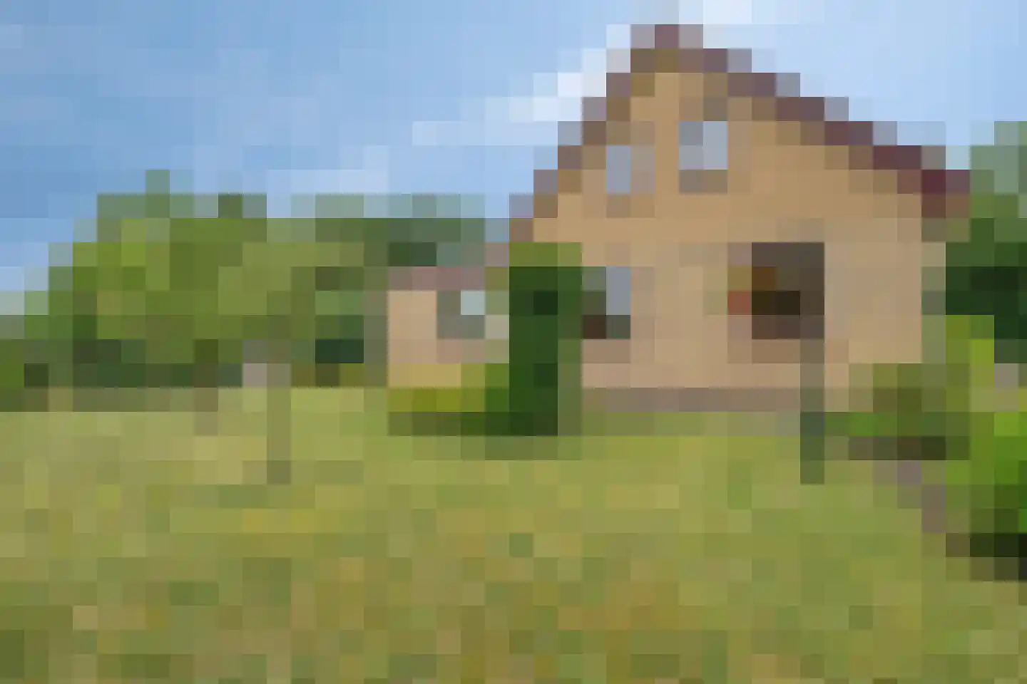 Stationsweg 132 Wezep thumbnail 52