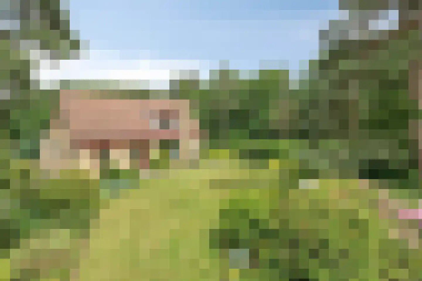 Stationsweg 132 Wezep thumbnail 56