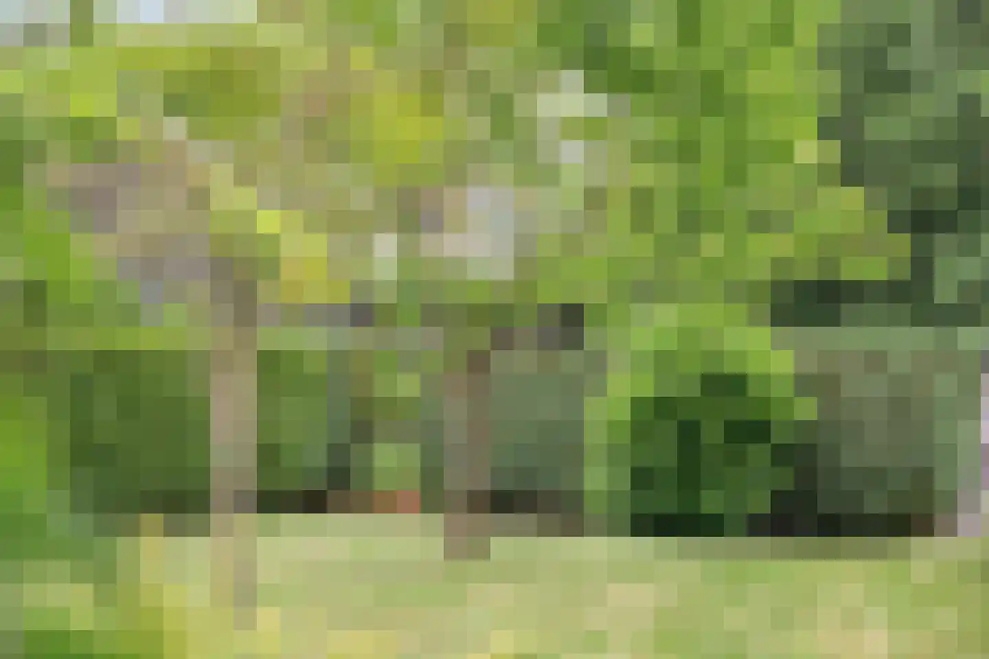 Stationsweg 132 Wezep thumbnail 57