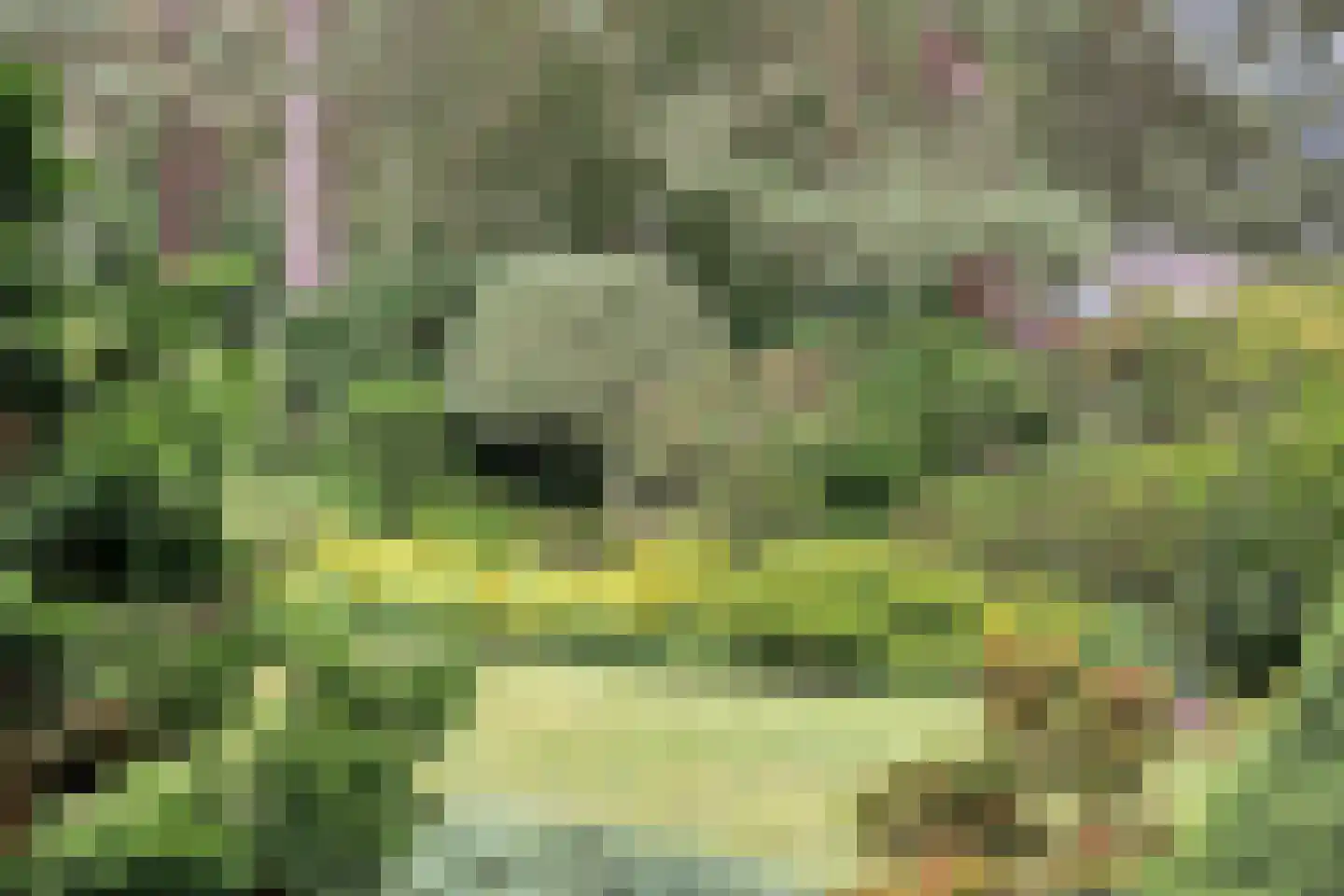 Stationsweg 132 Wezep thumbnail 58