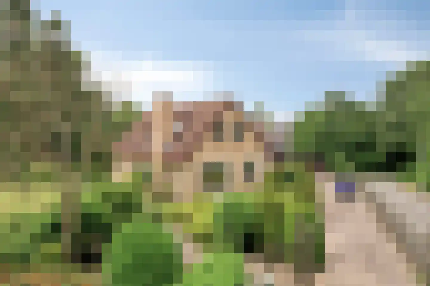 Stationsweg 132 Wezep thumbnail 6