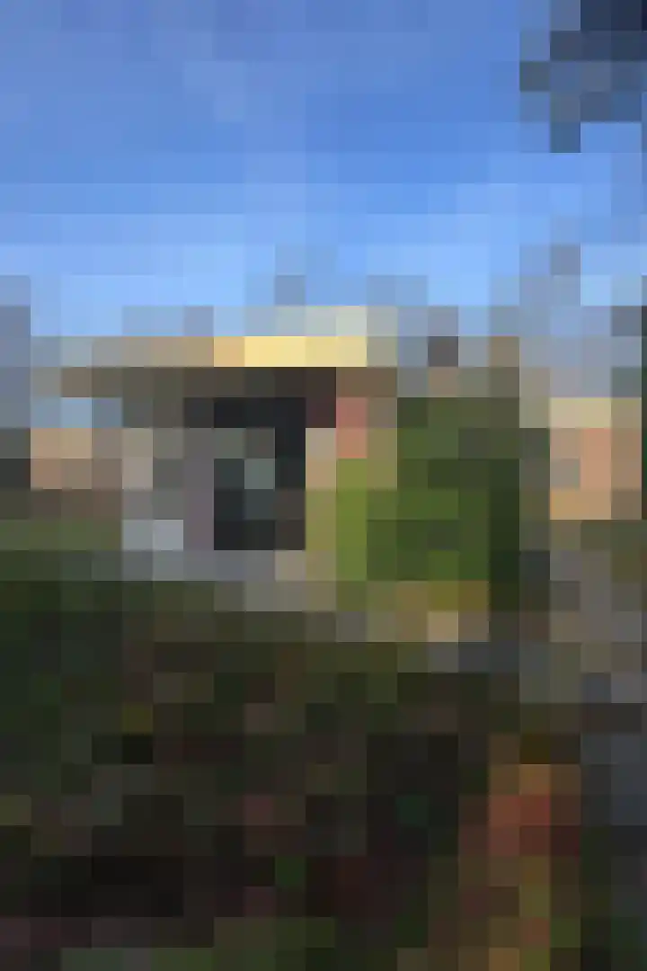 Stationsweg 136 Wezep thumbnail 24