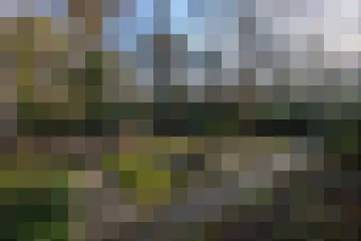 Stationsweg 136 Wezep thumbnail 26