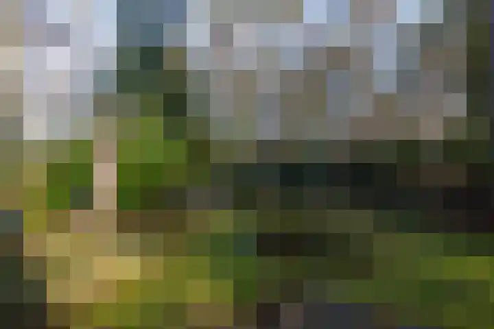 Stationsweg 136 Wezep thumbnail 27
