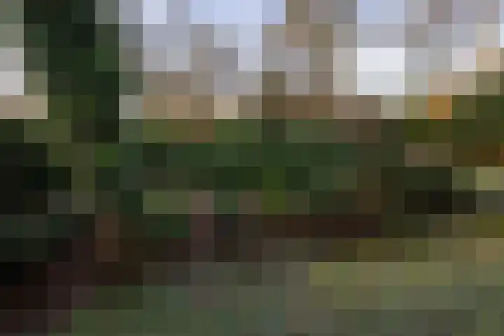 Stationsweg 136 Wezep thumbnail 28