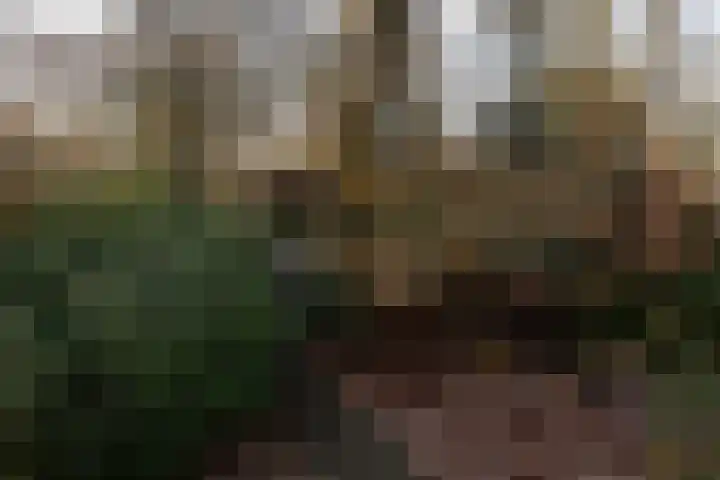 Stationsweg 136 Wezep thumbnail 29