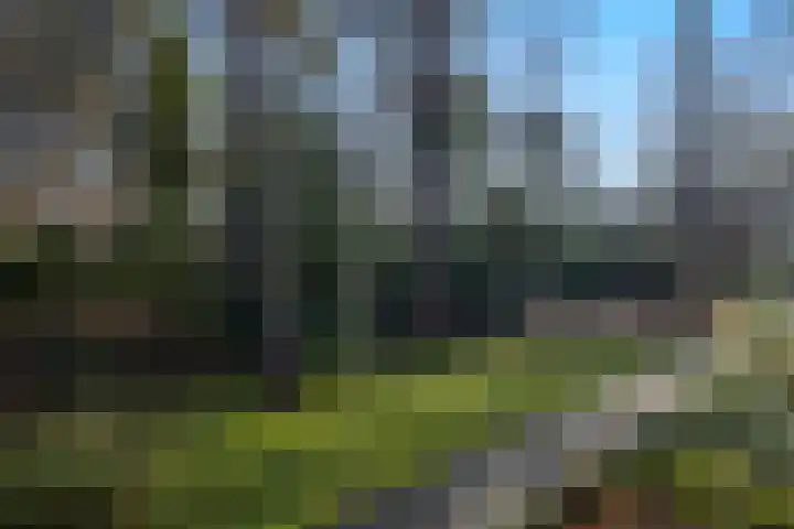 Stationsweg 136 Wezep thumbnail 35