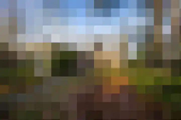 Stationsweg 136 Wezep thumbnail 4