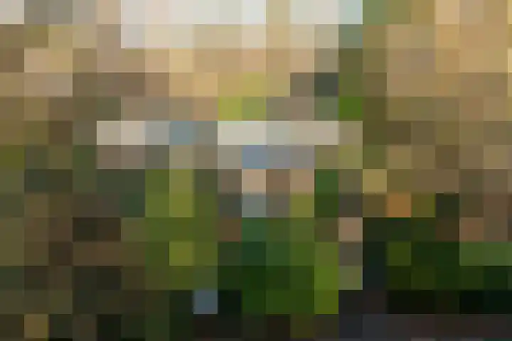 Stationsweg 136 Wezep thumbnail 40