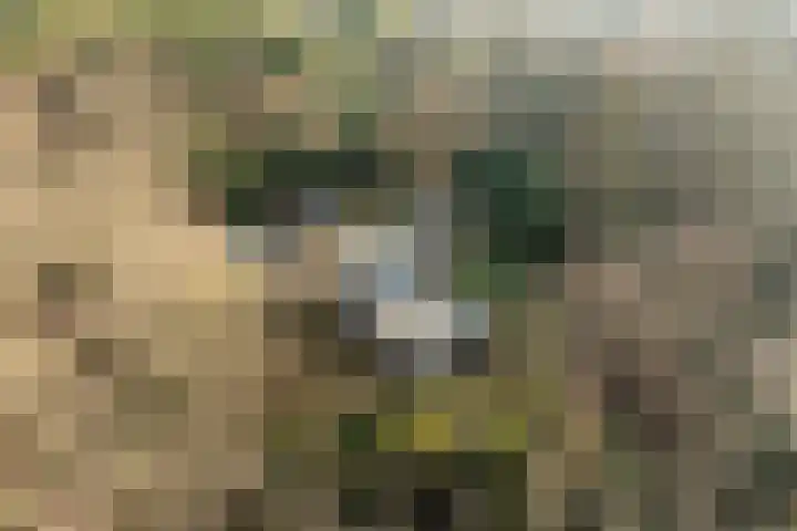 Stationsweg 136 Wezep thumbnail 42