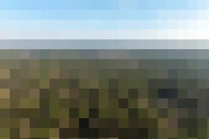 Stationsweg 136 Wezep thumbnail 43