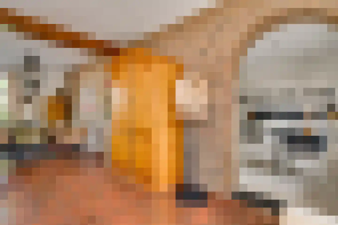 Stationsweg 14 Herkenbosch thumbnail 12