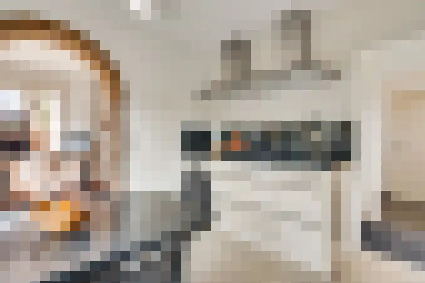 Stationsweg 14 Herkenbosch thumbnail 16
