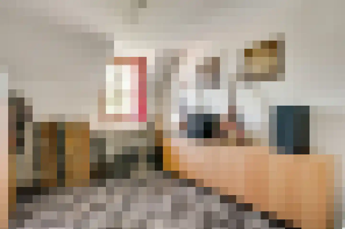 Stationsweg 14 Herkenbosch thumbnail 22