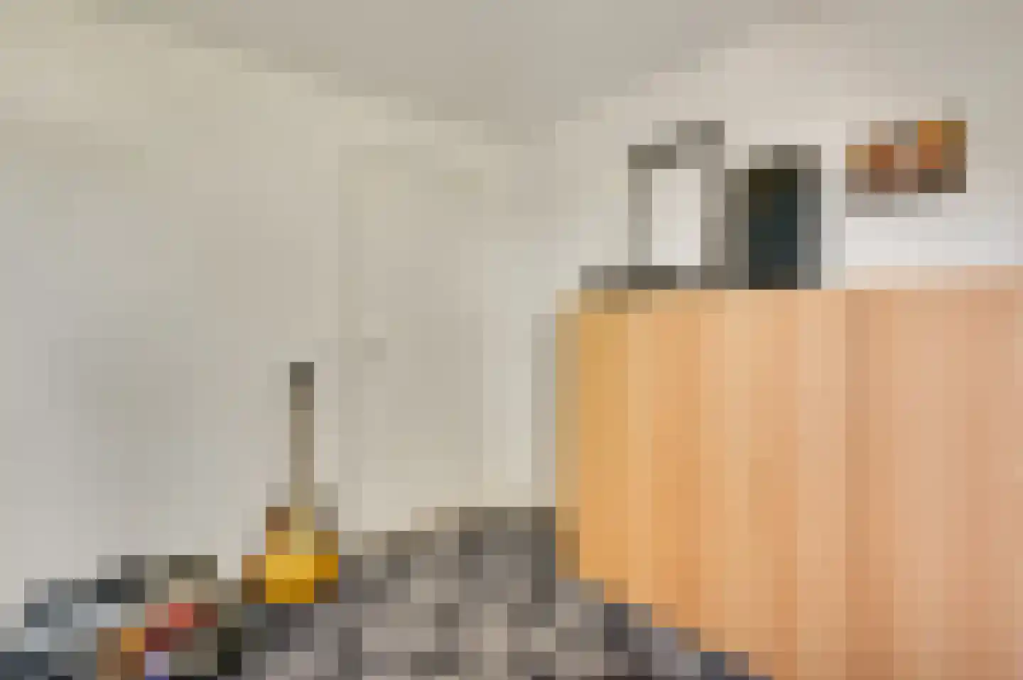 Stationsweg 14 Herkenbosch thumbnail 23