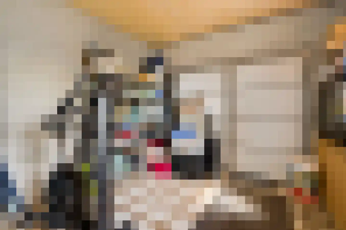 Stationsweg 14 Herkenbosch thumbnail 30
