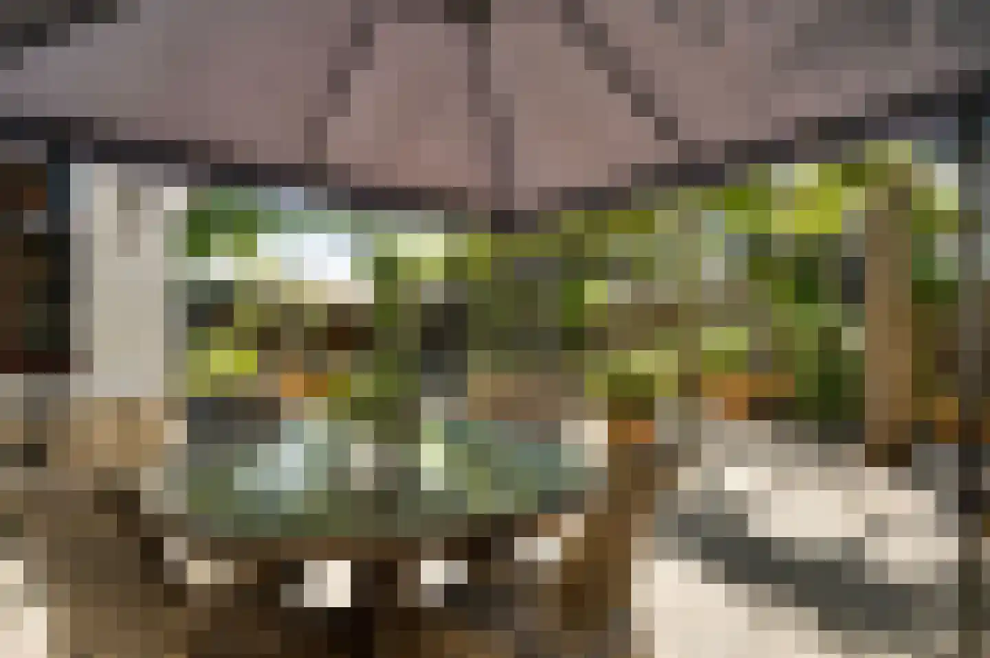 Stationsweg 14 Herkenbosch thumbnail 31