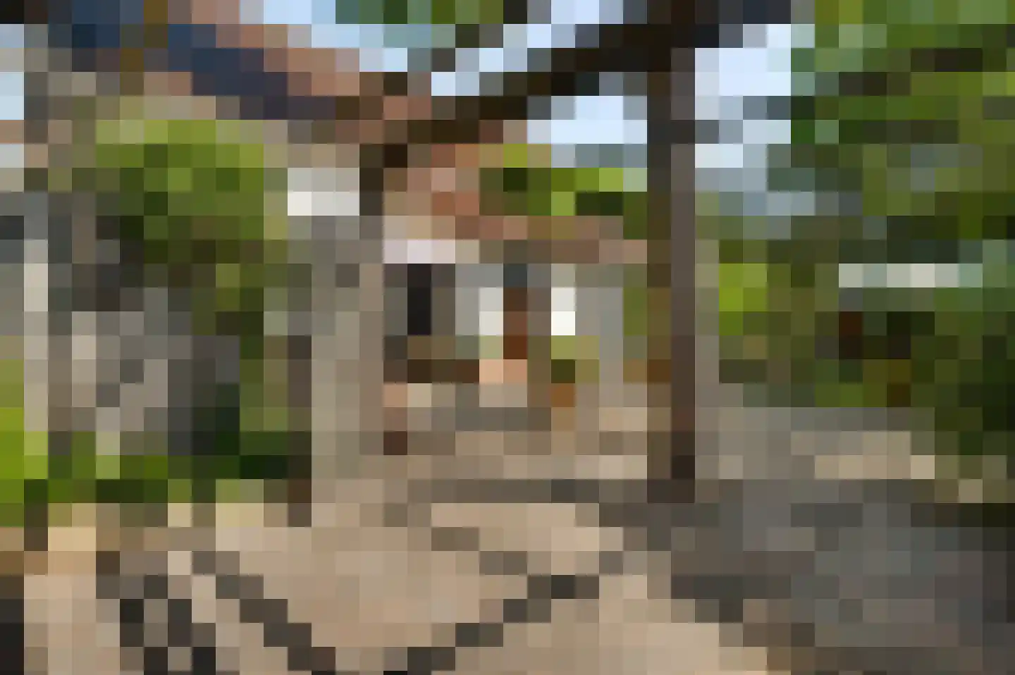 Stationsweg 14 Herkenbosch thumbnail 33