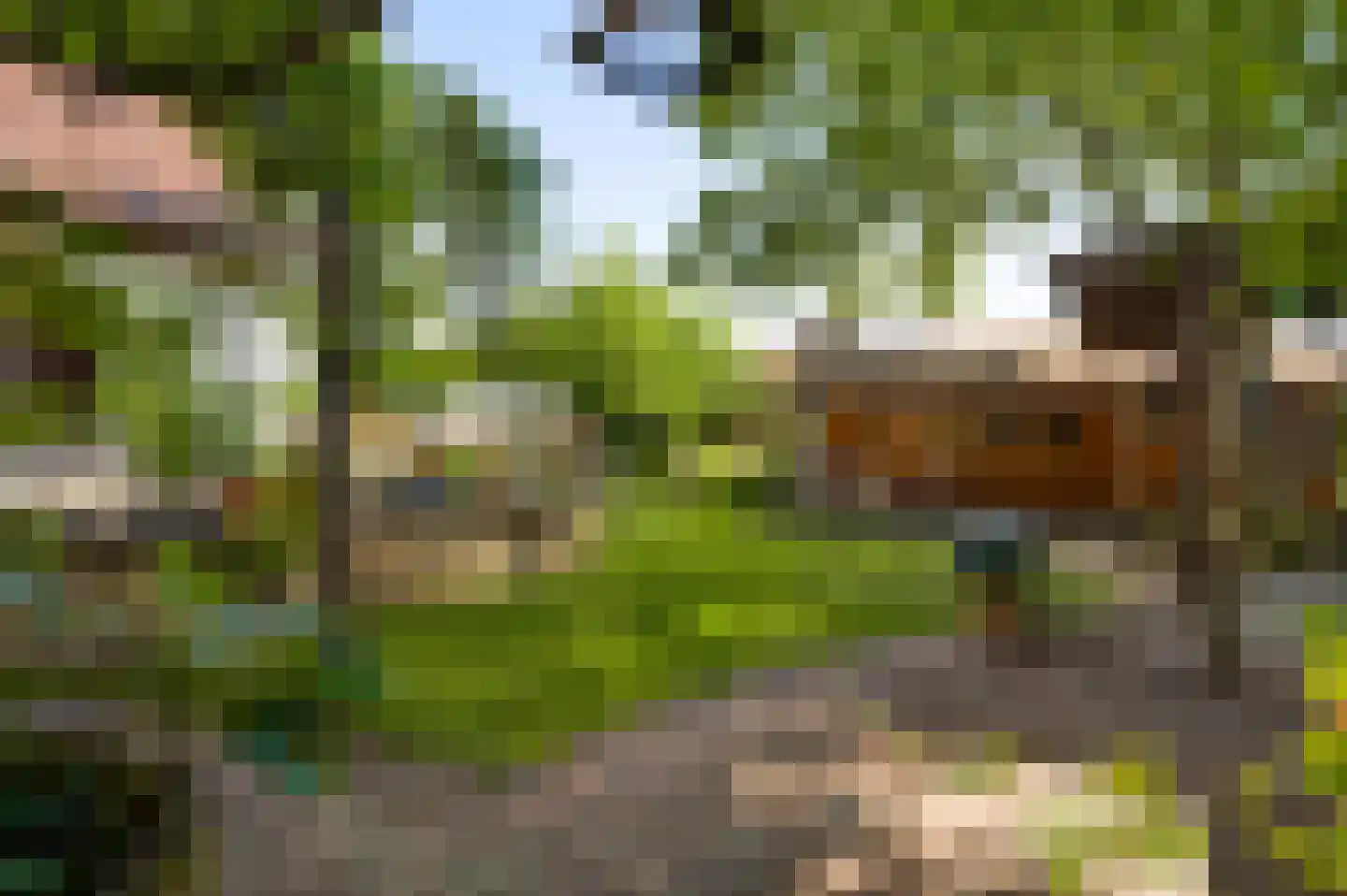 Stationsweg 14 Herkenbosch thumbnail 35