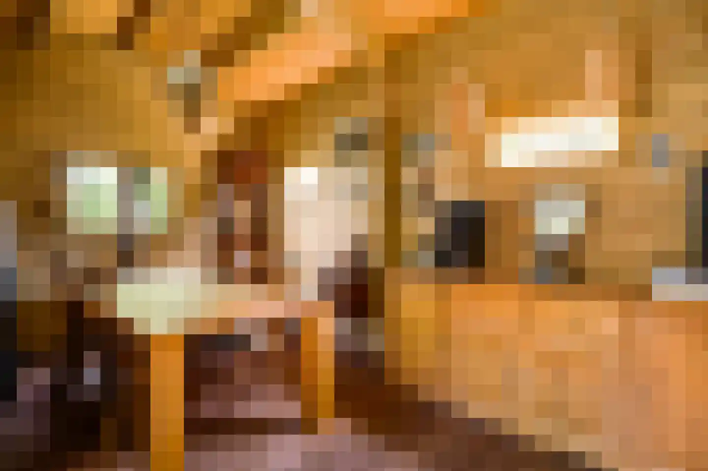 Stationsweg 14 Herkenbosch thumbnail 37