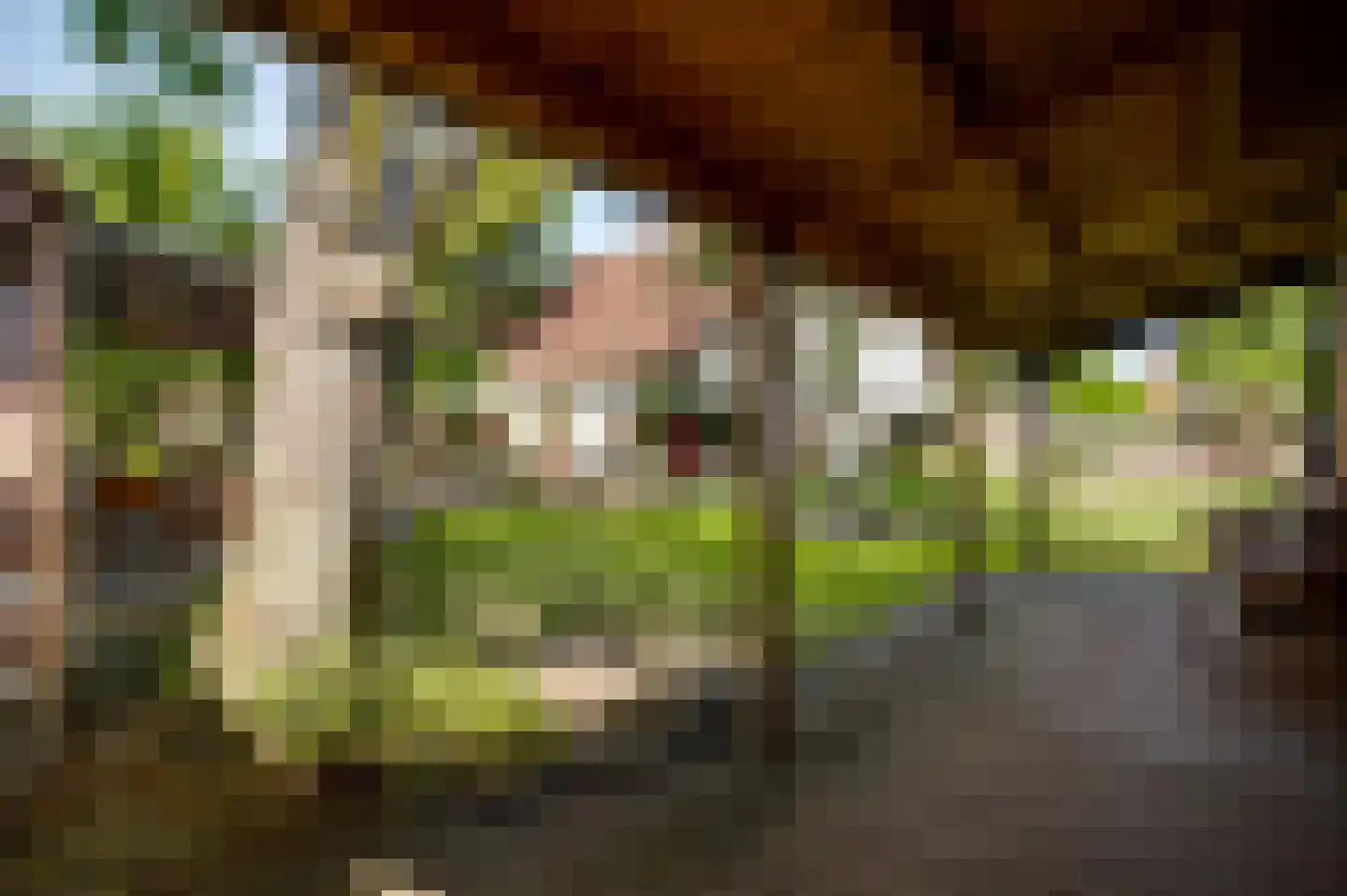 Stationsweg 14 Herkenbosch thumbnail 38
