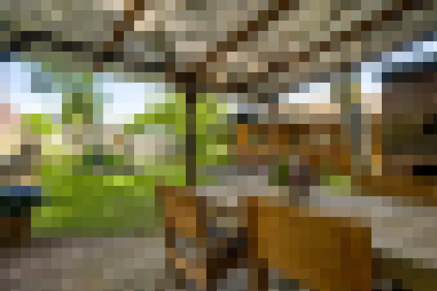 Stationsweg 14 Herkenbosch thumbnail 39
