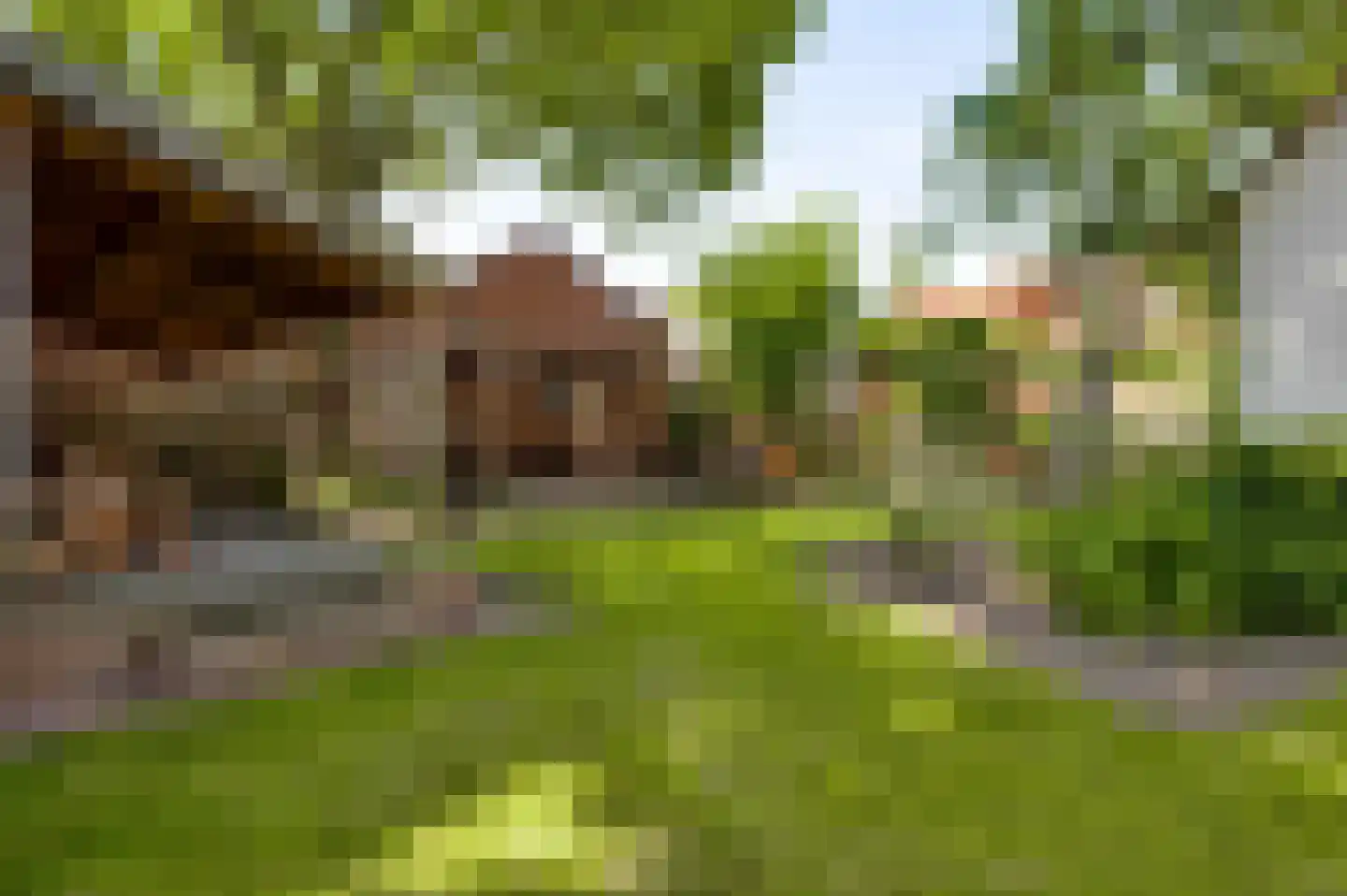 Stationsweg 14 Herkenbosch thumbnail 4