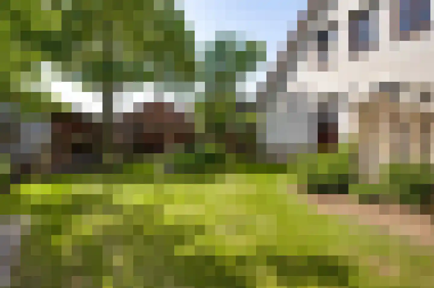 Stationsweg 14 Herkenbosch thumbnail 40