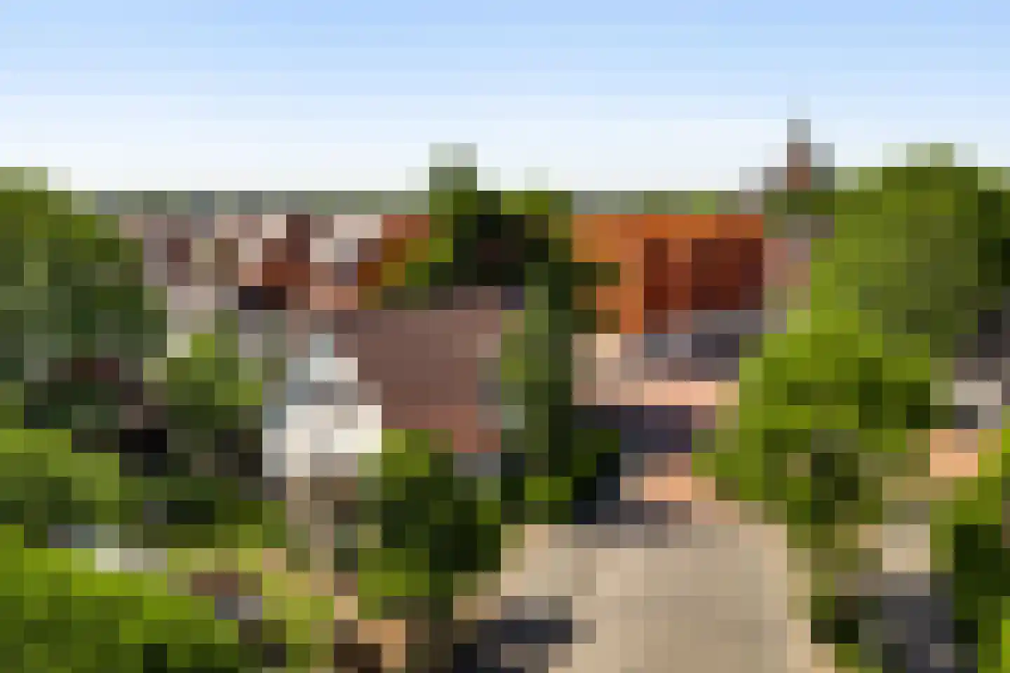 Stationsweg 14 Herkenbosch thumbnail 44