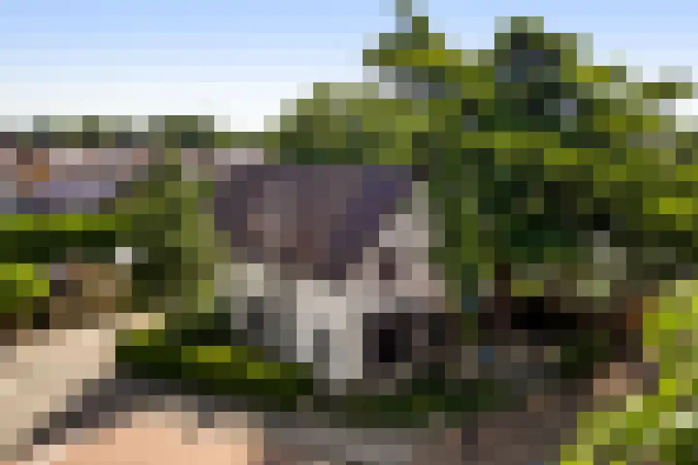 Stationsweg 14 Herkenbosch thumbnail 45