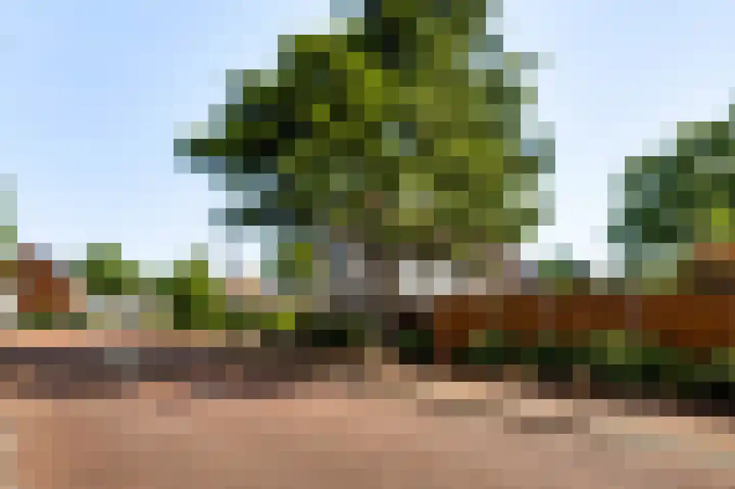 Stationsweg 14 Herkenbosch thumbnail 46