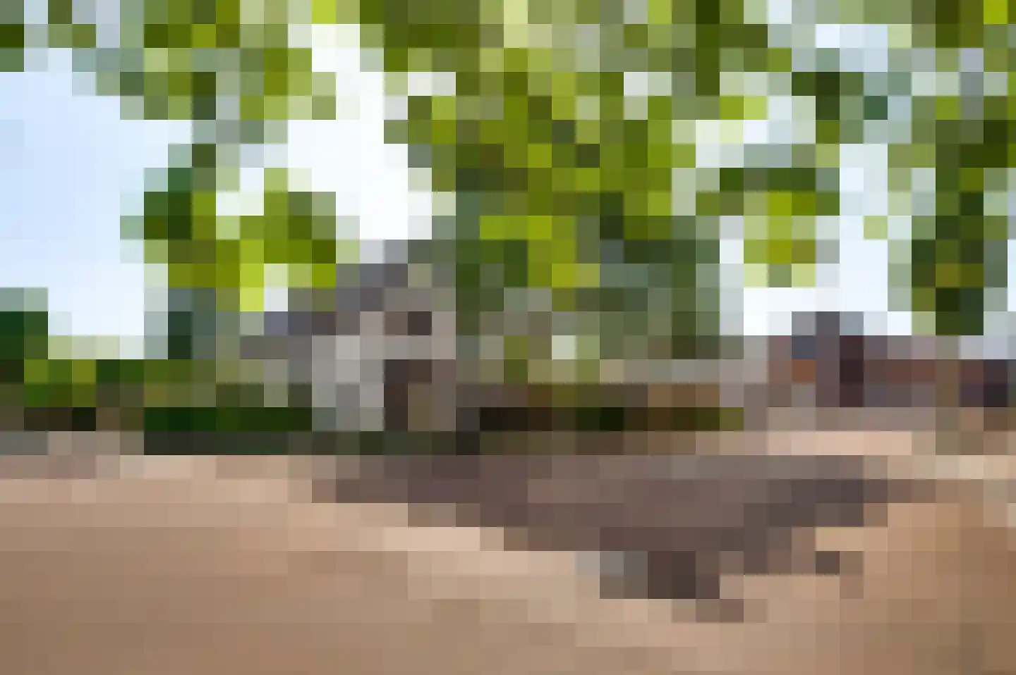 Stationsweg 14 Herkenbosch thumbnail 47