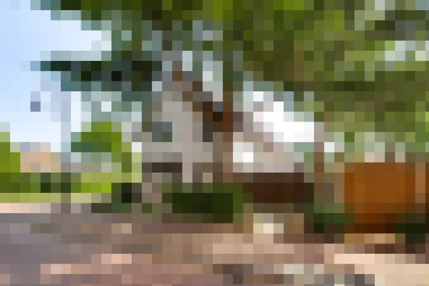 Stationsweg 14 Herkenbosch thumbnail 54